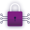 padlock cyber security