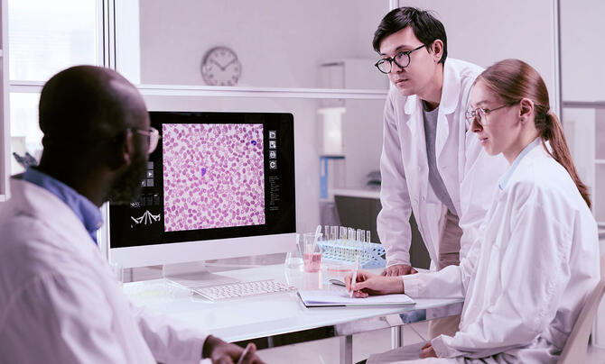 Three laboratory researchers analyze a magnified image of blood cells displayed on a computer monitor.